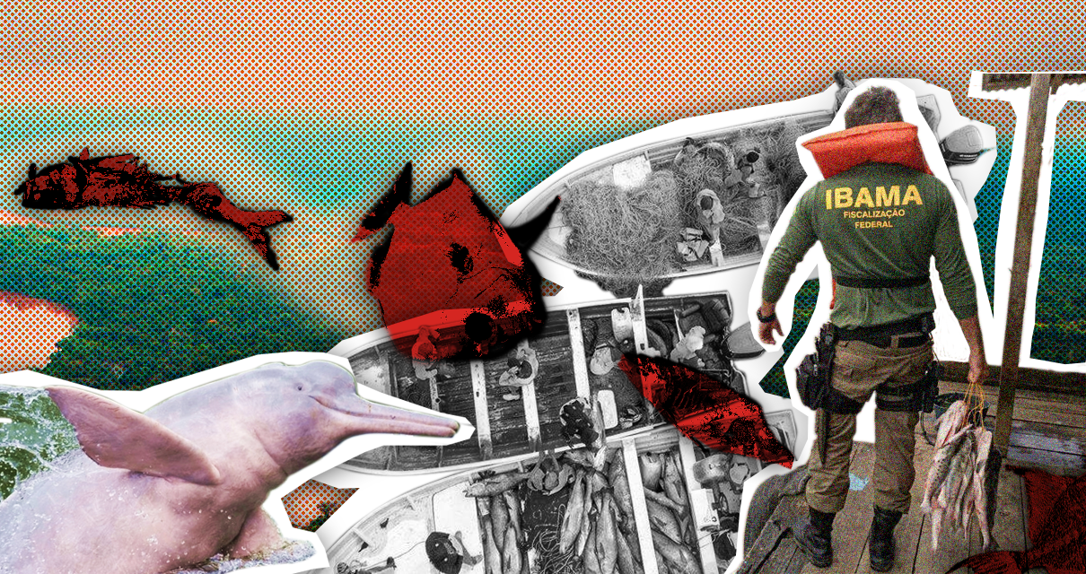 Semana do Meio Ambiente: Todos deveriam ser ambientalistas