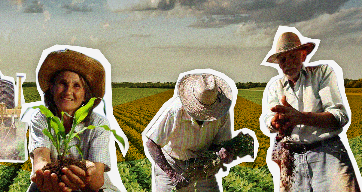 Participação política: as pedras no caminho da roça