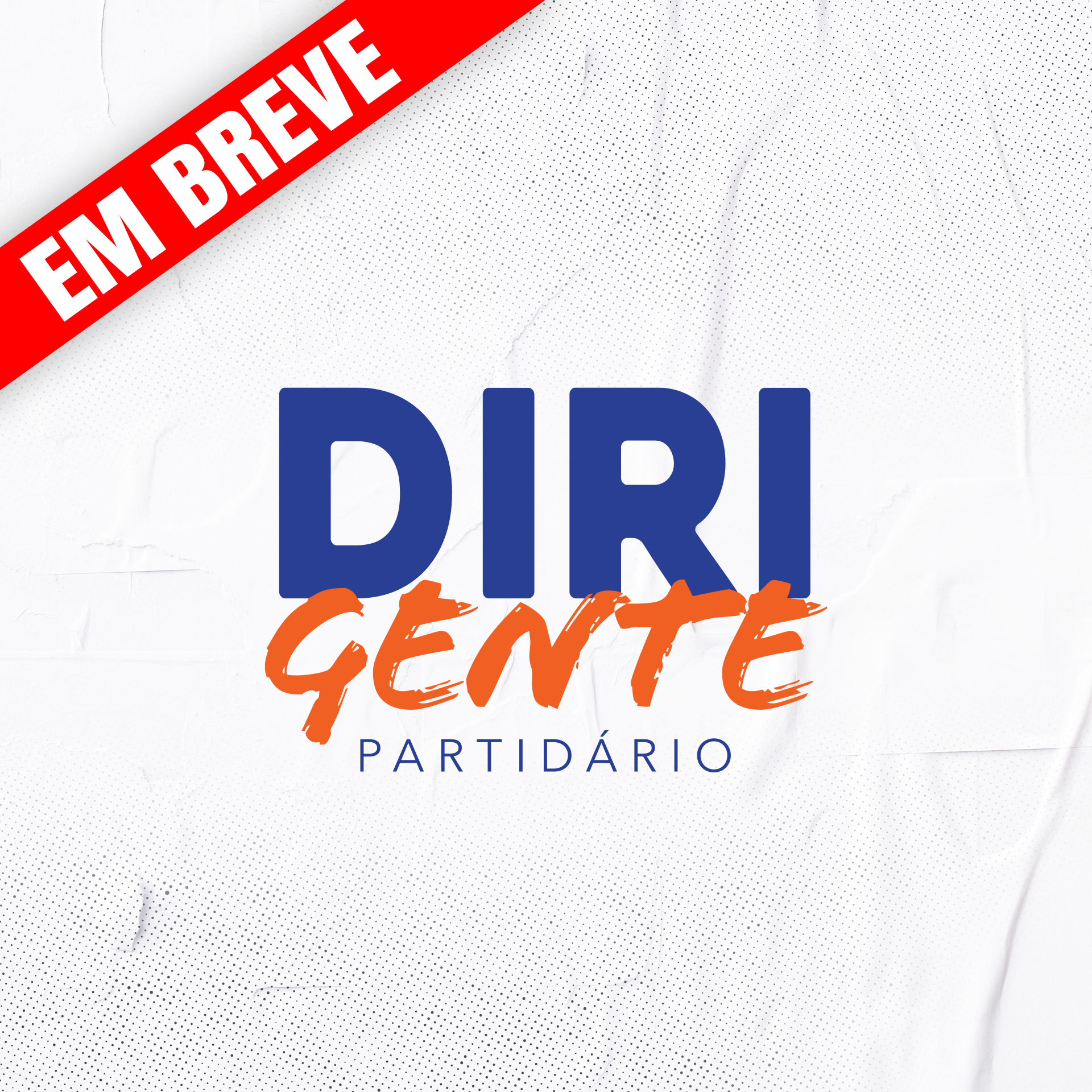 Dirigente Partidário