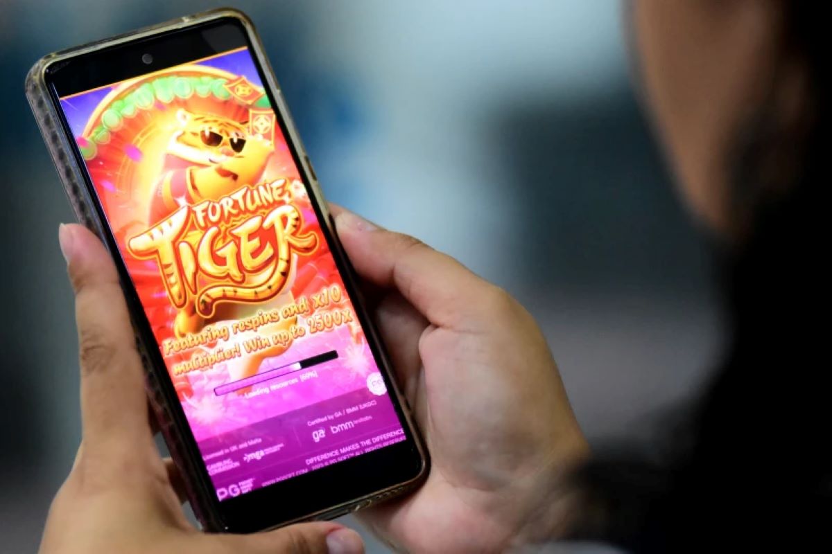 Fique atento ao golpe do tigrinho no Instagram e no WhatsApp